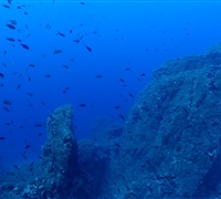 P9240011.jpg