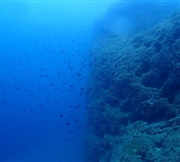 P9220101.jpg