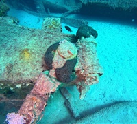 GOPR1796.jpg