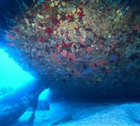 GOPR1832.jpg
