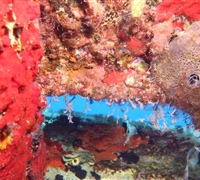 IMG_0455.jpg