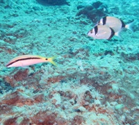 IMG_0476.jpg