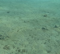 GOPR0074.jpg