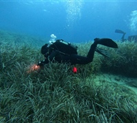 GOPR7102.jpg