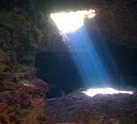 IMG_4401.jpg