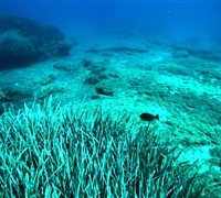 IMG_4518.jpg